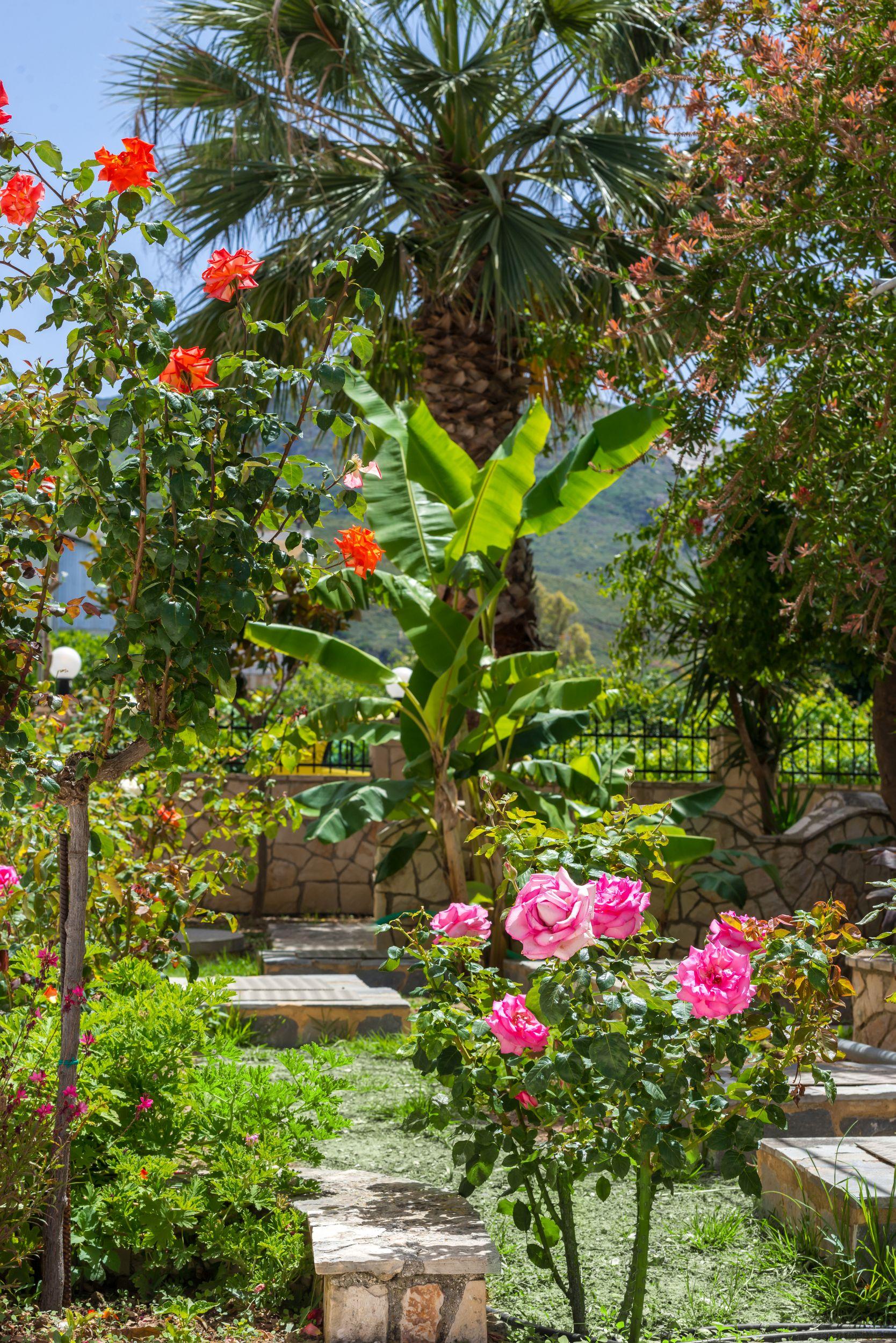 مدينة زاكينثوس Athina Apartments المظهر الخارجي الصورة